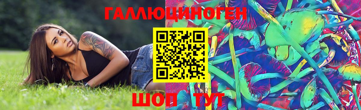 Нововоронеж  Галлюциногенные грибы Psilocybe  Вход с VPN 