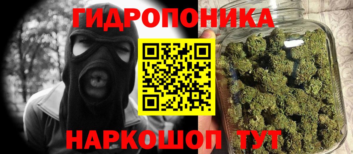 Нововоронеж  Конопля семена  Вход с VPN  Шишки марихуана план 